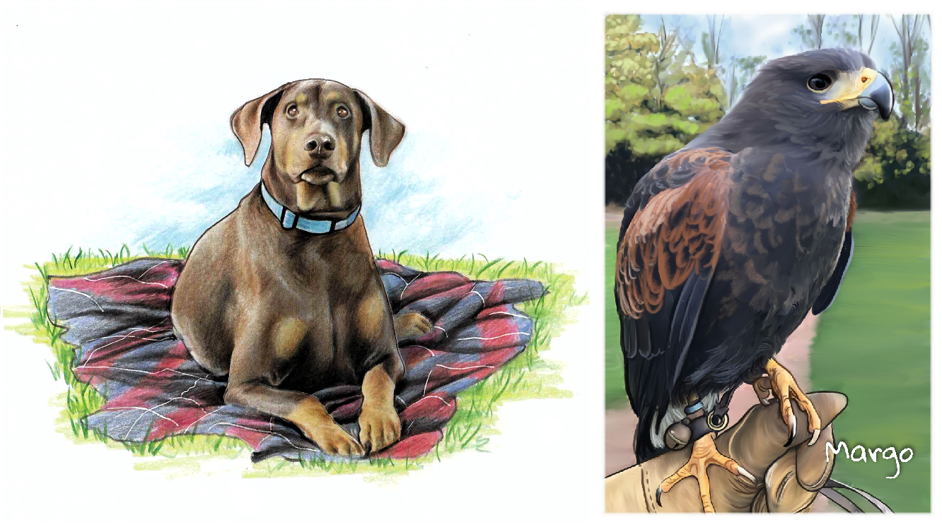 3. A drawing with your pets or animals