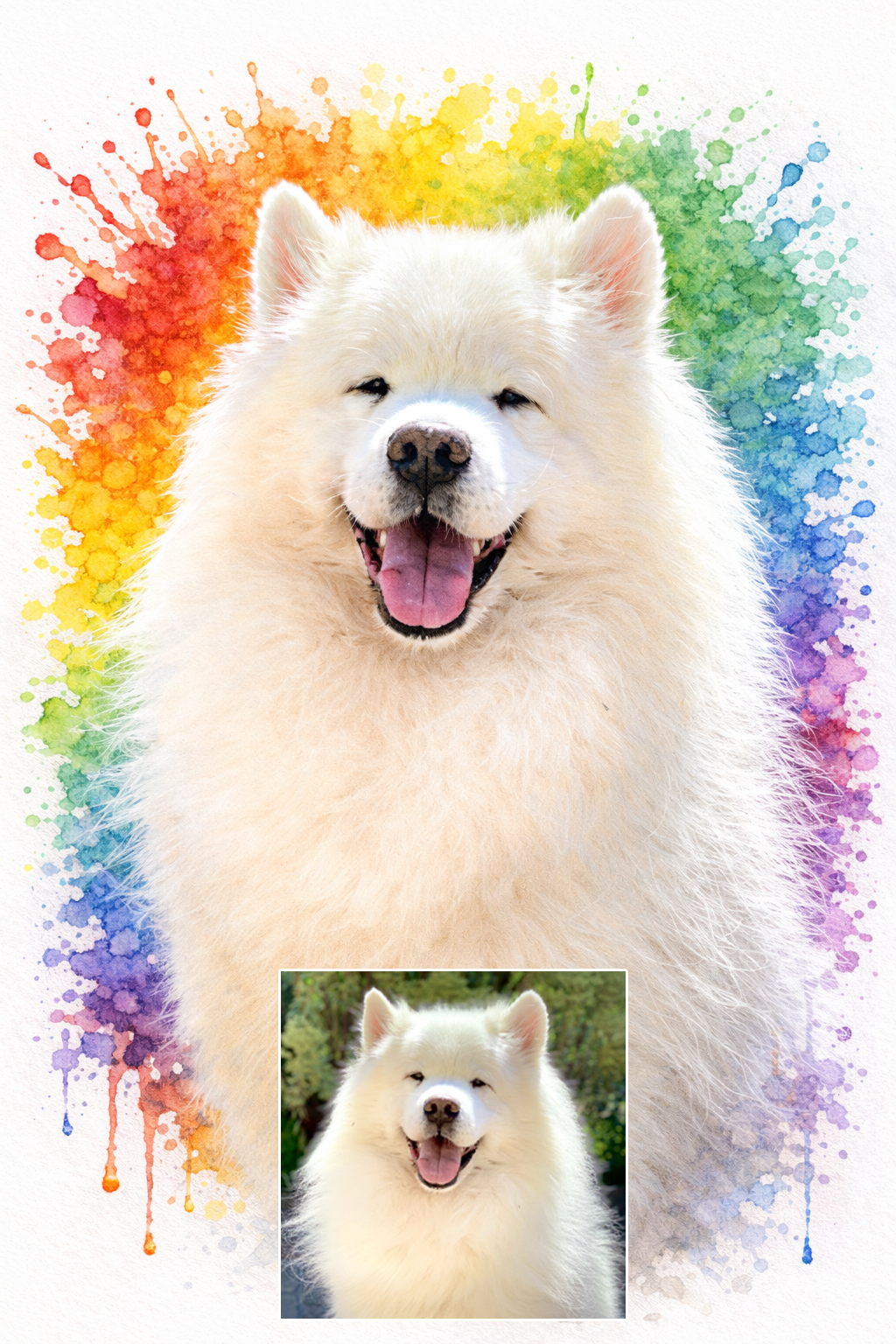 DrawKing rainbow colour bomb pet portrait of a Samoyed dog